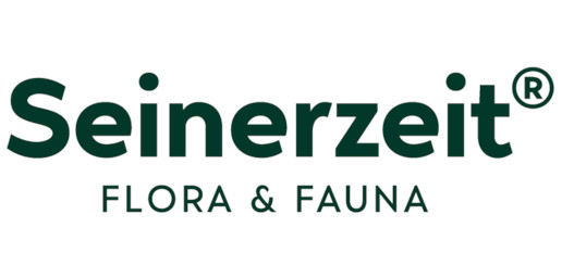 Seinerzeit