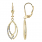 Preview: 333/8K Gold Ohrringe, Ohrhänger Gelbgold mit Zirkonia 5500163-001