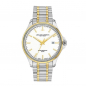 Preview: ABELER & SÖHNE AS2061 Herren Armbanduhr Saphirglas 10ATM, bicolor