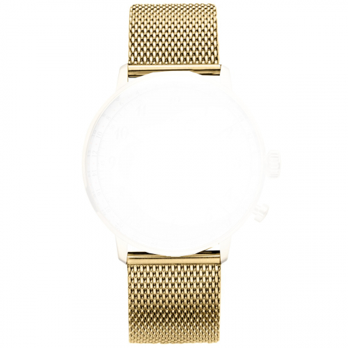 Zeppelin Mesh-Band Goldfarben Stegbreite 20mm mit Federstege von Morellato