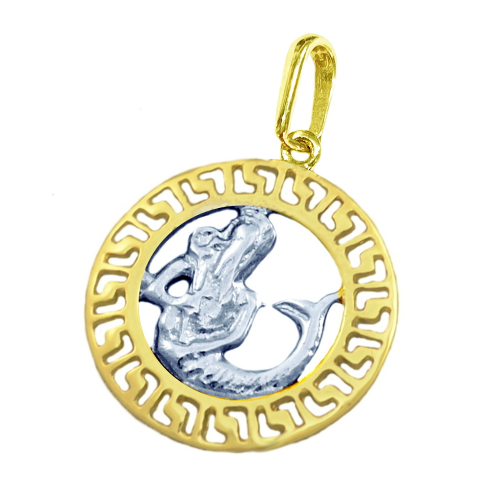 Anhänger 585 Gold bicolor Kettenanhänger Sternzeichen Wassermann