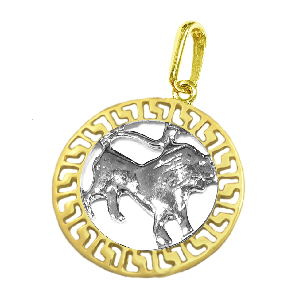 Anhänger 585 Gold bicolor Kettenanhänger Sternzeichen Löwe