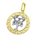 Anhänger 585 Gold bicolor Kettenanhänger Sternzeichen Krebs